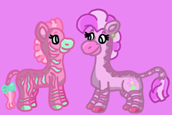 Size: 1500x1000 | Tagged: safe, artist:mintwhistle, zig zag, oc, oc:fuchsia, zebra, g1, bow, colored hooves, duo, duo female, ear piercing, earring, female, jewelry, looking at each other, looking at someone, medibang paint, piercing, pink, pink background, pony friends, shading practice, simple background, smiling, smiling at each other, tail, tail bow, zebra oc
