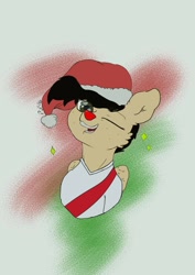 Size: 1000x1414 | Tagged: safe, artist:puffluna8, oc, oc only, oc:afrito, pegasus, christmas, hat, holiday, pegasus oc, reno, river plate, santa hat, solo