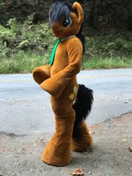 Size: 960x1280 | Tagged: safe, artist:atalonthedeer, doctor whooves, time turner, earth pony, g4, bipedal, fursuit, irl, necktie, photo, ponysuit, road