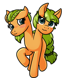 Size: 3000x3300 | Tagged: safe, oc, oc only, pony, conjoined, conjoined twins, dreamworks face, female, mare, multiple heads, shy, simple background, transparent background, two heads