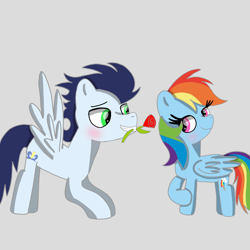 Size: 1400x1400 | Tagged: safe, artist:mrsdashskies, rainbow dash, soarin', pegasus, pony, g4, blushing, female, flower, flower in mouth, gray background, male, mare, mouth hold, rose, ship:soarindash, shipping, simple background, stallion, straight