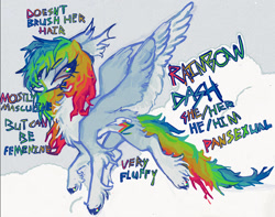 Size: 1590x1250 | Tagged: safe, artist:polluted-bat, rainbow dash, pegasus, g4, alternate design, chest fluff, coat markings, colored hooves, colored wings, colored wingtips, ear fluff, flying, gender headcanon, headcanon, looking back, messy mane, messy tail, pale belly, redesign, sexuality headcanon, socks (coat markings), solo, spread wings, tail, unshorn fetlocks, wings