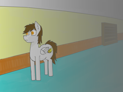 Size: 1188x891 | Tagged: safe, artist:kokopingas98, oc, oc only, oc:anthon, pegasus, bookshelf, concerned, dark, digital art, hallway, indoors, interior, male, object, pegasus oc, pencil, ponysona, scared, shading, solo