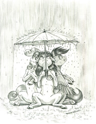 Size: 1050x1361 | Tagged: safe, artist:baron engel, apple bloom, scootaloo, sweetie belle, earth pony, pegasus, pony, unicorn, g4, belly button, cutie mark crusaders, featureless crotch, female, filly, foal, monochrome, pencil drawing, rain, traditional art, trio, umbrella