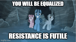 Size: 360x202 | Tagged: safe, edit, bacon braids, log jam, sunny song, pony, unicorn, g4, the cutie map, animated, anti-bronybait, borg, bronybait, caption, equalized, horn, image macro, join the herd, male, reference to another series, resistance is futile, stallion, star trek, star trek: the next generation, text