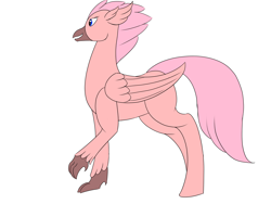 Size: 1600x1200 | Tagged: safe, artist:saint boniface, oc, hippogriff, blue eyes, hippogriff oc, navy eyes, pink, pink feathers, solo