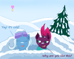 Size: 3612x2894 | Tagged: safe, artist:fizzban08, tempest shadow, trixie, g4, snow