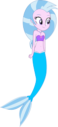 Size: 593x1289 | Tagged: safe, artist:fireluigi29, silverstream, mermaid, equestria girls, g4, belly button, equestria girls-ified, female, jewelry, mermaidized, midriff, necklace, simple background, solo, species swap, transparent background, tube top