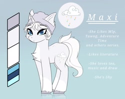 Size: 2048x1615 | Tagged: safe, artist:maxi_ponie, oc, oc only, oc:maxi, pony, unicorn, chest fluff, hat, horn, reference sheet, solo, tail, unicorn oc, unshorn fetlocks