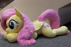 Size: 5074x3383 | Tagged: safe, artist:azgchip, fluttershy, pegasus, pony, g4, cute, female, irl, life size, lying down, mare, photo, plushie, prone, shyabetes, solo, sploot