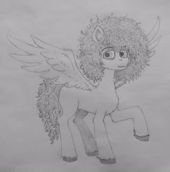 Size: 3025x3060 | Tagged: safe, artist:curly horse, oc, oc:curly, pegasus, black and white, curly hair, curly mane, fluffy, grayscale, high res, looking at you, male, monochrome, pencil drawing, raised hoof, simple background, sketch, smiling, spread wings, stallion, traditional art, white background, wings