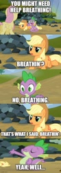Size: 500x1406 | Tagged: safe, edit, edited screencap, screencap, applejack, fluttershy, spike, dragon, earth pony, pegasus, pony, g4, spike at your service, animation error, butt, caption, comic, female, imgflip, male, mare, plot, text