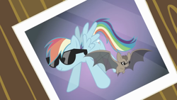 Size: 1920x1080 | Tagged: safe, screencap, rainbow dash, bat, pegasus, pony, g4, may the best pet win, season 2, 1080p, desaturated, duo, female, mare, photo, posing for photo, rainbow dash's sunglasses, smiling, spread wings, sunglasses, wings, wrong cutie mark