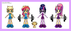 Size: 2655x1152 | Tagged: safe, artist:twilite-sparkleplz, applejack, sci-twi, sour sweet, sunset shimmer, twilight sparkle, equestria girls, g4, clothes, doll, equestria girls minis, toy