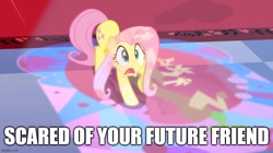 Size: 888x499 | Tagged: safe, edit, edited screencap, screencap, fluttershy, g4, the return of harmony, caption, image macro, imgflip, text