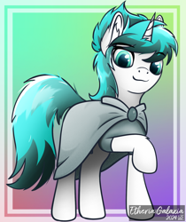 Size: 1390x1651 | Tagged: safe, artist:etheria galaxia, oc, oc only, oc:tundral gale, pony, unicorn, cloak, clothes, ear fluff, gradient background, horn, looking at you, unicorn oc, watermark