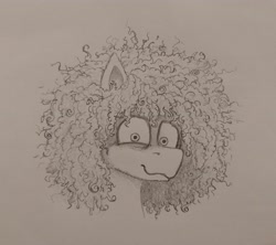 Size: 3439x3060 | Tagged: safe, artist:curly horse, oc, oc only, oc:curly, pegasus, bags under eyes, curly hair, curly mane, existential crisis, fluffy, high res, looking at you, male, monochrome, pegasus oc, pencil drawing, simple background, solo, stallion, tired, traditional art, white background