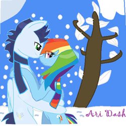 Size: 459x458 | Tagged: safe, artist:trendari, rainbow dash, soarin', pegasus, pony, g4, clothes, female, male, mare, rainbow scarf, scarf, ship:soarindash, shipping, snow, stallion, straight, striped scarf, tree, winter