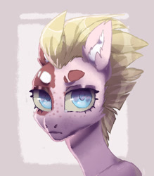 Size: 557x635 | Tagged: safe, artist:ipoloarts, oc, oc only, pony, bust, digital art, old art, portrait, solo