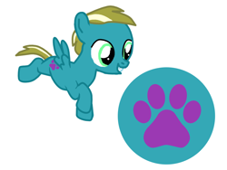 Size: 800x600 | Tagged: safe, artist:princessstar022, oc, oc only, oc:paw print, pegasus, pony, g4, base used, colt, foal, male, offspring, parent:shady daze, parent:zippoorwhill, parents:zippoordaze, simple background, solo, white background