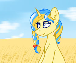 Size: 3534x2953 | Tagged: safe, artist:northglow, oc, oc only, oc:ukraine, pony, unicorn, braid, cloud, detailed background, horn, looking up, nation ponies, ponified, sketch, sky, solo, ukraine