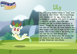 Size: 1600x1116 | Tagged: safe, artist:aleximusprime, oc, oc only, oc:lily the dragon, dragon, eastern dragon, fanfic:my little sister is a dragon, fanfic:my little sister is a dragon: ester dracos, antlers, baby, baby dragon, bio, dragon oc, dragoness, fangs, female, flying, hands on cheeks, non-pony oc, solo, text