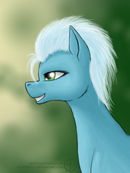 Size: 900x1200 | Tagged: safe, artist:adalbertus, fleetfoot, pony, g4, bust, female, grin, mare, portrait, profile, smiling, solo