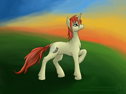 Size: 1600x1200 | Tagged: safe, artist:adalbertus, oc, oc only, oc:amber drop, pony, unicorn, profile, raised hoof, smiling, solo