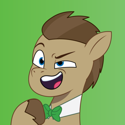 Size: 900x900 | Tagged: safe, artist:prixy05, doctor whooves, time turner, earth pony, pony, g4, g5, my little pony: tell your tale, bowtie, bust, g4 to g5, generation leap, green background, male, portrait, simple background, stallion