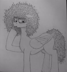 Size: 3004x3218 | Tagged: safe, artist:curly horse, oc, oc only, pegasus, confused, curly hair, curly mane, ears back, eyebrows, fluffy, folded wings, grayscale, high res, male, monochrome, pegasus oc, pencil drawing, raised eyebrow, raised hoof, simple background, solo, stallion, traditional art, white background, wings