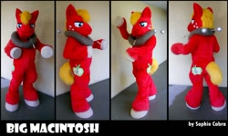 Size: 800x481 | Tagged: safe, artist:spainfischer, big macintosh, g4, fursuit, horse collar, irl, multiple views, photo, ponysuit, text