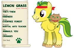 Size: 1521x982 | Tagged: safe, artist:hazel bloons, oc, oc only, cat, pegasus, pony, 2024, bandana, blue eyes, brown fur, chest fluff, collar, cutie mark, duo, english, folded wings, full body, green eyes, green mane, green tail, heterochromia, magenta eyes, male, reference sheet, simple background, smiling, stallion, tail, teeth, text, transparent background, wings, yellow coat