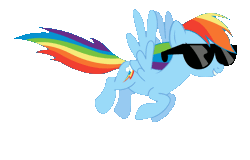 Size: 1269x813 | Tagged: artist needed, safe, rainbow dash, pegasus, pony, g4, animated, female, flying, grin, mare, rainbow dash's sunglasses, simple background, smiling, solo, sunglasses, transparent background, vector