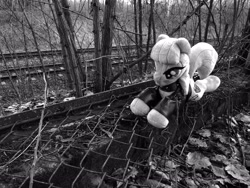 Size: 4000x3000 | Tagged: safe, maud pie, earth pony, pony, g4, black and white, clothes, grayscale, irl, jacket, lying down, monochrome, outdoors, photo, plushie, prone, railroad