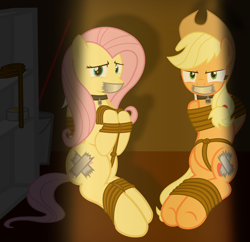 Size: 2000x1939 | Tagged: safe, alternate version, artist:cardshark777, applejack, fluttershy, earth pony, pegasus, pony, g4, angry, applejack is not amused, bondage, bound and gagged, bound wings, bucket, captive, collar, covered cutie mark, crotch rope, digital art, duct tape, gag, helpless, looking at you, pet tag, raised hoof, raised leg, rope, rope bondage, ropes, scared, sitting, tape, tape gag, tied up, unamused, wings