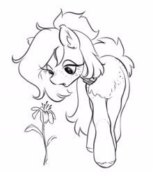 Size: 2234x2541 | Tagged: safe, artist:opalacorn, oc, oc only, earth pony, pony, black and white, chest fluff, choker, female, flower, freckles, grayscale, looking at something, mare, monochrome, simple background, solo, white background