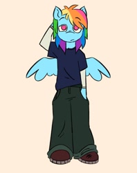 Size: 1058x1333 | Tagged: safe, artist:partyponypower, rainbow dash, anthro, plantigrade anthro, g4, clothes, pants, shirt, simple background, solo, t-shirt