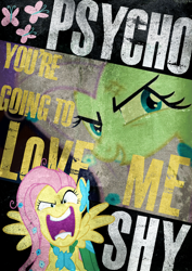 Size: 900x1273 | Tagged: safe, artist:skeptic-mousey, fluttershy, g4, flutterrage, insanity, poster, psycho, typography, you're going to love me