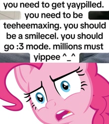 Size: 1063x1206 | Tagged: safe, edit, edited screencap, screencap, pinkie pie, earth pony, g4, meme, text