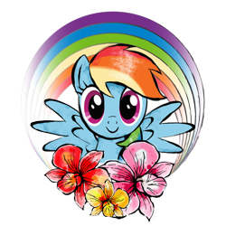 Size: 2048x2048 | Tagged: artist needed, safe, rainbow dash, pegasus, pony, g4, official, black outlines, design, digital watercolor, female, flower, looking at you, mare, rainbow, shirt design, simple background, smiling, smiling at you, solo, spread wings, transparent background, wings, zazzle