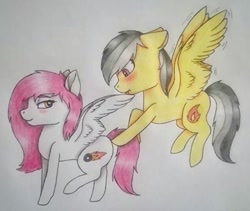 Size: 489x413 | Tagged: artist needed, safe, oc, oc only, oc:kira (fl), oc:thunder (fl), pegasus, pony, blushing, butt, duo, excited, floppy ears, looking at butt, plot, pointing, smiling, tongue out, traditional art
