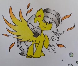 Size: 612x516 | Tagged: safe, artist:cherry.317, oc, oc only, oc:thunder (fl), pegasus, pony, feather, heart ears, male, signature, simple background, solo, white background