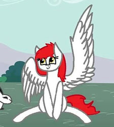 Size: 303x337 | Tagged: safe, artist:princessafira, oc, oc only, oc:kira, pegasus, pony, rabbit, animal, looking up, one wing out, sitting, smiling, solo, spread wings, wings