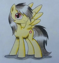 Size: 335x359 | Tagged: safe, artist:mrbojorquez7, oc, oc only, oc:thunder (fl), pegasus, pony, male, show accurate, simple background, solo, traditional art, white background