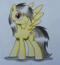 Size: 335x359 | Tagged: safe, artist:mrbojorquez7, oc, oc only, oc:thunder (fl), pegasus, pony, male, show accurate, simple background, solo, stallion, traditional art, white background