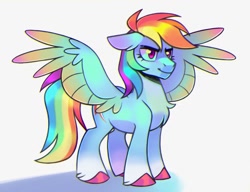 Size: 2304x1766 | Tagged: safe, artist:virygo19, rainbow dash, pegasus, pony, g4, chest fluff, chromatic aberration, coat markings, colored hooves, colored wings, countershading, female, gradient wings, mare, multicolored wings, rainbow wings, shadow, simple background, socks (coat markings), solo, spread wings, standing, unshorn fetlocks, white background, wings