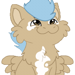 Size: 600x600 | Tagged: safe, alternate character, alternate version, artist:euspuche, oc, oc only, oc:onyx, pegasus, pony, :3, animated, cheek fluff, chest fluff, coat markings, commission, cute, fangs, gif, male, male oc, meme, pegasus oc, ponified animal photo, pony oc, pop cat, simple background, solo, spread wings, stallion, stallion oc, transparent background, wings, ych result