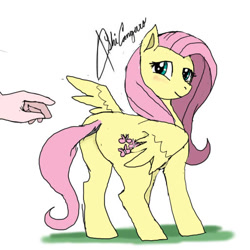 Size: 512x512 | Tagged: safe, artist:ashi, fluttershy, human, pegasus, pony, g4, butt, female, hand, looking back, low quality, mare, offscreen character, plot, simple background, solo, white background