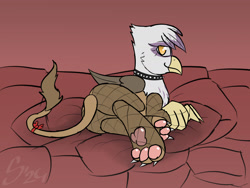 Size: 2400x1800 | Tagged: safe, artist:somber, gilda, griffon, g4, bowtie, butt, collar, female, fishnet stockings, paw pads, paws, pillow, plot, solo