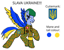 Size: 924x722 | Tagged: safe, artist:shadowmationssfm, oc, oc only, 1000 hours in ms paint, clothes, military uniform, simple background, solo, ukraine, uniform, white background